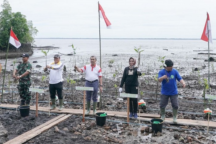 Gubernur Riau Tanam 200 Ribu Mangrove di Bengkalis